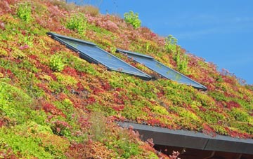 Cromwell Bottom living roof systems